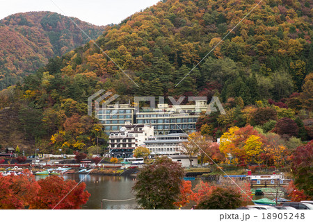 河口湖の紅葉 18905248