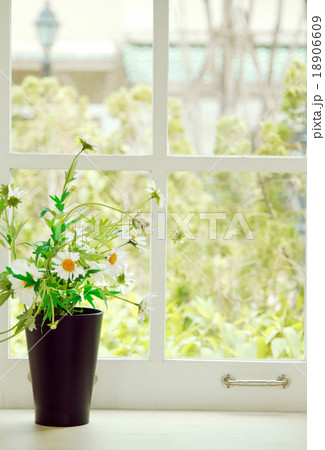 Fresh white flowers in a pot on white retro window 18906609