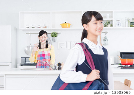 家族 家族 18908069