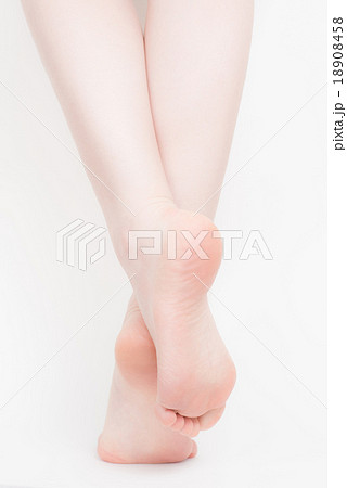 女性　かかと 18908458