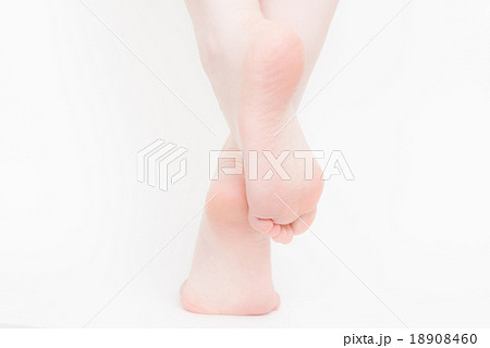 女性　かかと 18908460