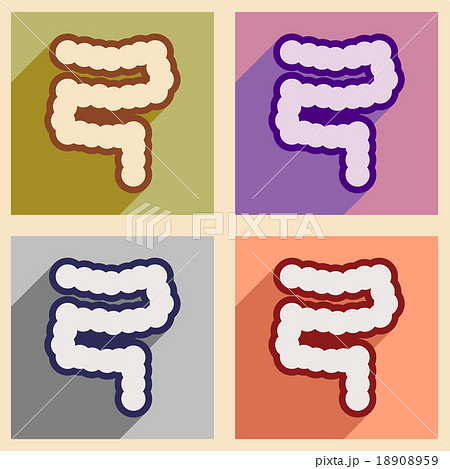 Icons of assembly duodenum in flat style 18908959