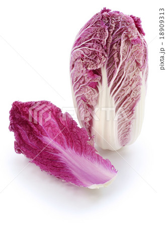 紫白菜 紫白菜 18909313
