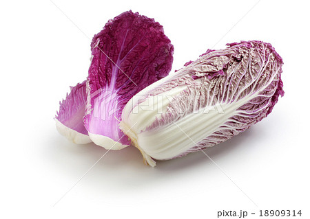 紫白菜 18909314