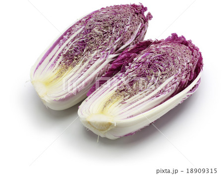 紫白菜 紫白菜 18909315