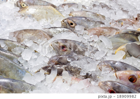 Fresh fishes on ice at the fish market Fresh fishes on ice at the fish market 18909982