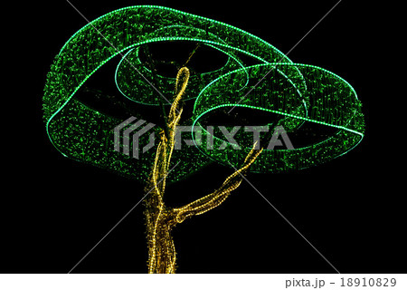 Construction in Form of Tree from Christmas Lamps Construction in Form of Tree from Christmas Lamps 18910829