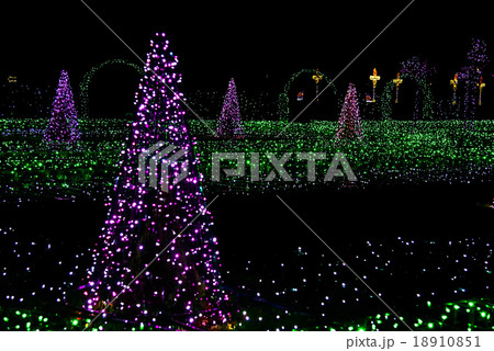 Fir-Trees and Grass from Christmas Light Bulbs Fir-Trees and Grass from Christmas Light Bulbs 18910851