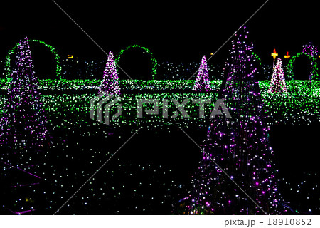 Illumination of Fir-Trees and Bushes Illumination of Fir-Trees and Bushes 18910852