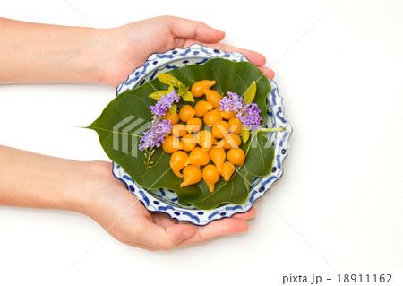 woman hand give a lai thai dish of thai dessert woman hand give a lai thai dish of thai dessert 18911162