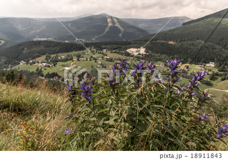 Spindleruv mlyn in Krkonose mountains Spindleruv mlyn in Krkonose mountains 18911843