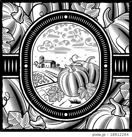 Pumpkin harvest black and white Pumpkin harvest black and white 18912264
