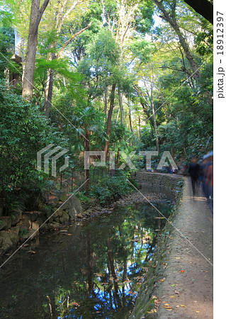 等々力渓谷公園 等々力渓谷公園 18912397