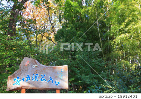 等々力渓谷入口 18912401