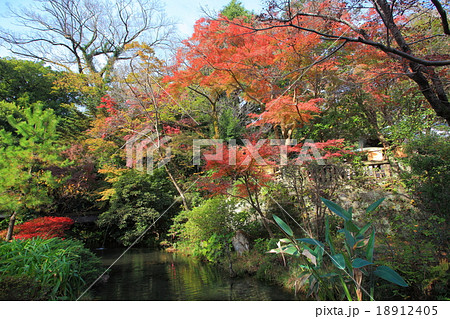 紅葉の深大寺 18912405