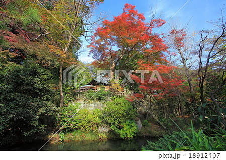紅葉の深大寺 元三大師堂 紅葉の深大寺 元三大師堂 18912407