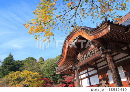 紅葉の深大寺 本堂 紅葉の深大寺 本堂 18912410
