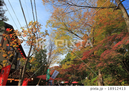 紅葉の深大寺 紅葉の深大寺 18912413