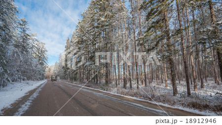 Logging truck barrels down the road. 18912946