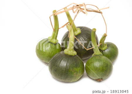 young pumpkin young pumpkin 18913045