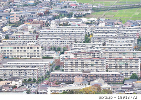 湘南平から見たマンション群 湘南平から見たマンション群 18913772
