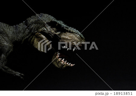 ティラノサウルスのフィギュア:T-REX ティラノサウルスのフィギュア:T-REX 18913851