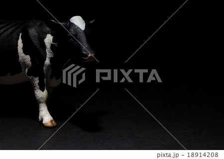 牛のおもちゃ（雌）：Holstein Figure 18914208