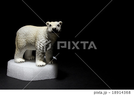 足場が小さく困っているシロクマ:White Bear on a driftice 足場が小さく困っているシロクマ:White Bear on a driftice 18914368