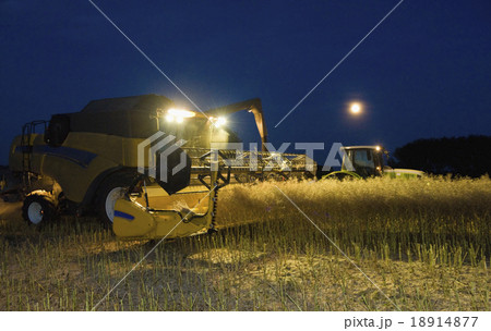 18401 18401 18914877