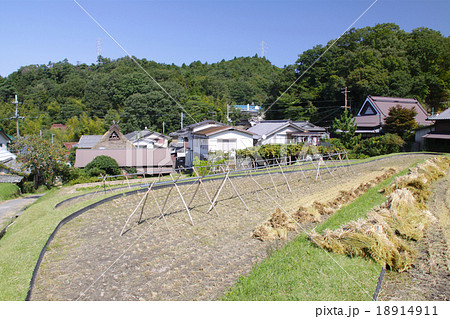 ノスタルジックな西宮市北部にある船坂峠の集落 / 初秋 / 収穫の季節 / 兵庫県西宮市山口町船坂  18914911