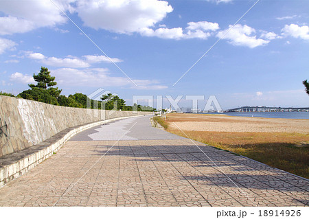 レア★絵葉書★戦前★兵庫県★遊園地★浜甲子園・西宮★阪神パーク★8枚完全組 100年の歴史を辿って甲子園の魅力を再発見！ | 甲子園スタイルガイド
