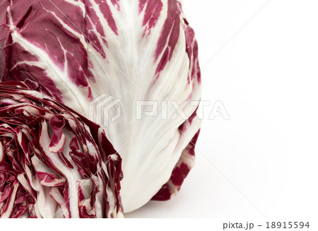 ラディキオ：Radicchio 18915594