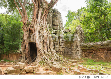Ancient gates in Angkor, Siem Reap, Cambodia 18916198