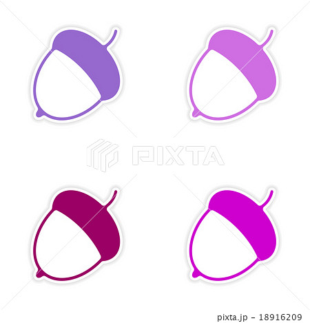 assembly realistic sticker design on paper acorn 18916209