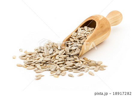 ひまわりの種：Raw Sunflower Seed Kernels 18917282