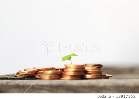 Small seedling growing in coins Small seedling growing in coins 18917555
