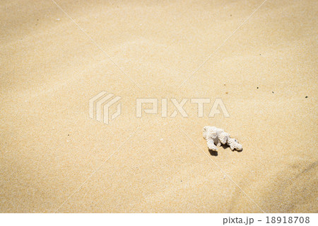 Dead coral vintage on the beach, Thailand Dead coral vintage on the beach, Thailand 18918708