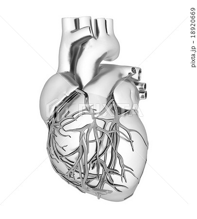 Human heart Human heart 18920669