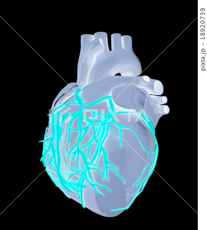 Human heart Human heart 18920739
