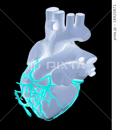 Human heart Human heart 18920871