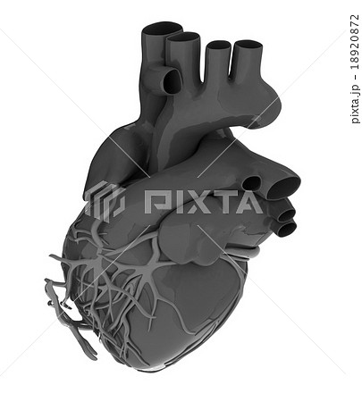 Human heart Human heart 18920872