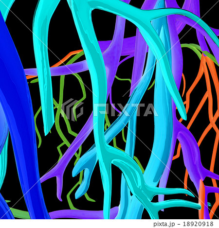 Fantasy veins. Medical illustration Fantasy veins. Medical illustration 18920918