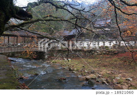 三原市「佛通寺」。佛通寺川にかかる巨蟒橋、山門、仏殿を見る 三原市「佛通寺」。佛通寺川にかかる巨蟒橋、山門、仏殿を見る 18921060