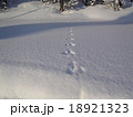 新雪とうさぎの足跡 18921323