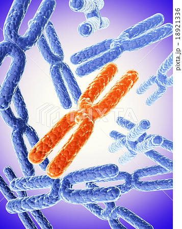 X chromosome on abstract background 18921336