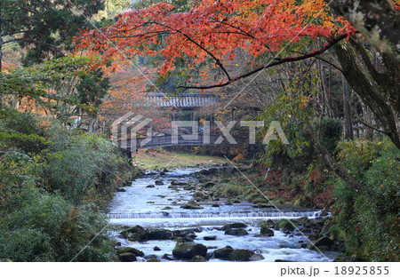 三原市「佛通寺」。佛通寺川と巨蟒橋 18925855