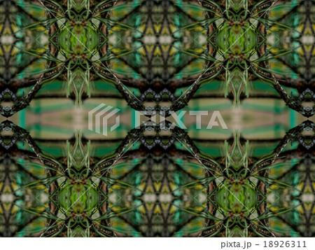 Green abstract kaleidoscope background 18926311