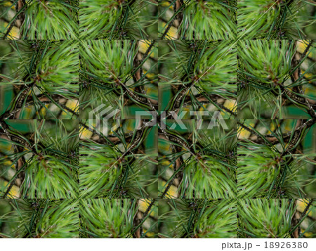 Green abstract kaleidoscope background 18926380