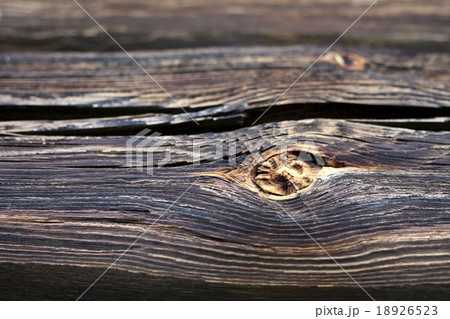 Beautiful wood texture Beautiful wood texture 18926523