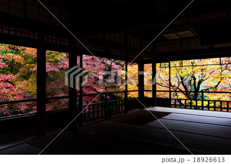 瑠璃光院　書院二階から眺める瑠璃の庭 18926613